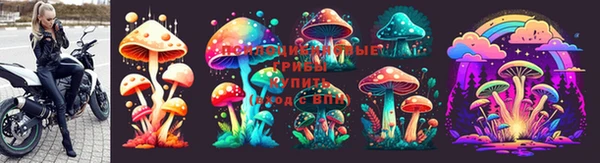 a pvp Мегион