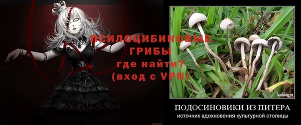 a pvp Мегион