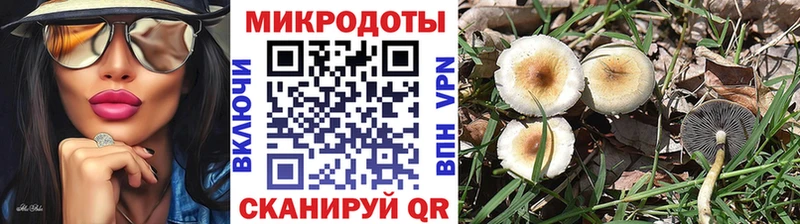 цены наркотик  Комсомольск-на-Амуре  Галлюциногенные грибы Magic Shrooms 