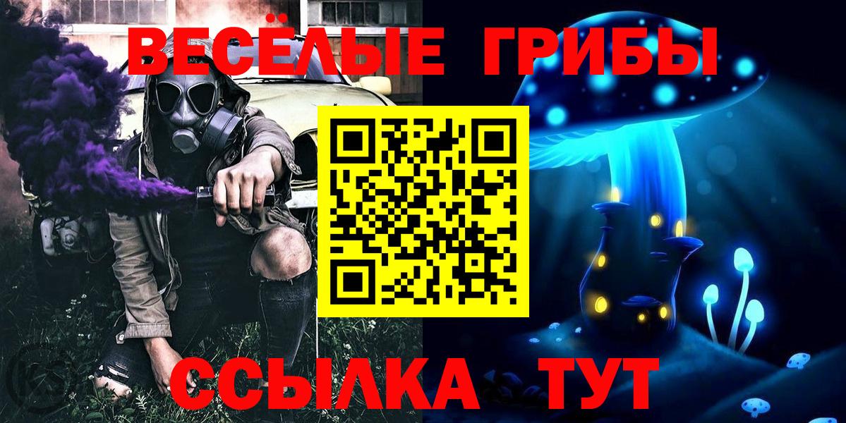 Псилоцибиновые грибы GOLDEN TEACHER Комсомольск-на-Амуре